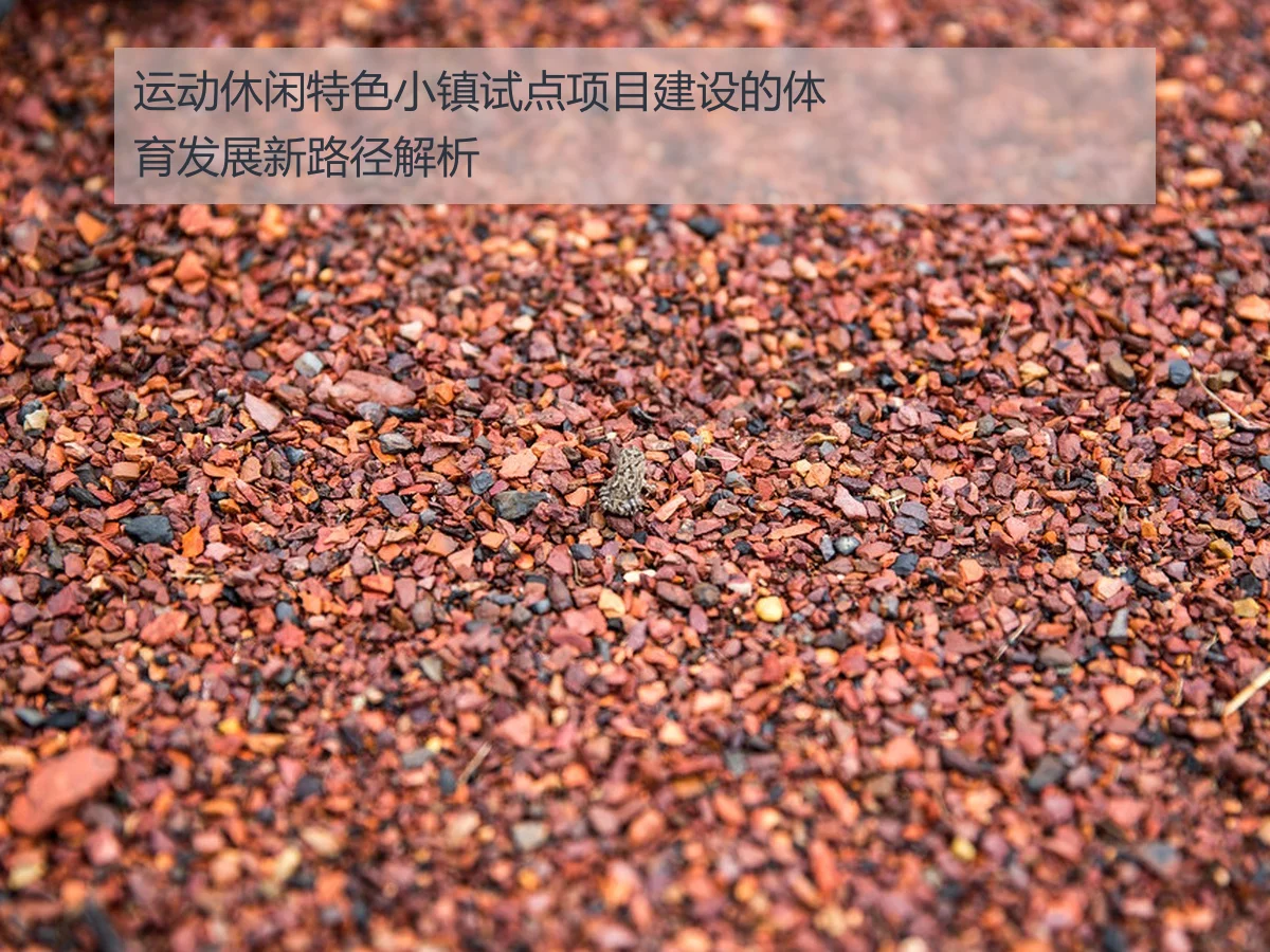 运动休闲特色小镇试点项目建设的体育发展新路径解析