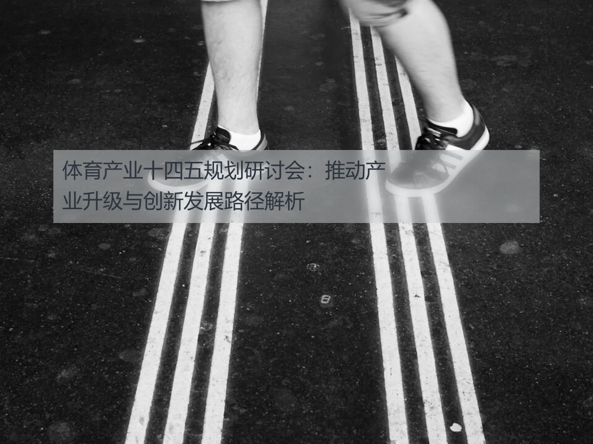 体育产业十四五规划研讨会：推动产业升级与创新发展路径解析